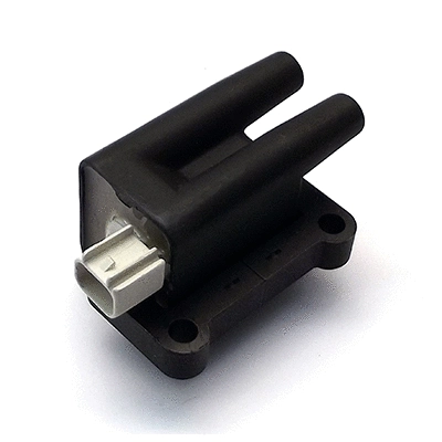 Ignition Coil (10672)