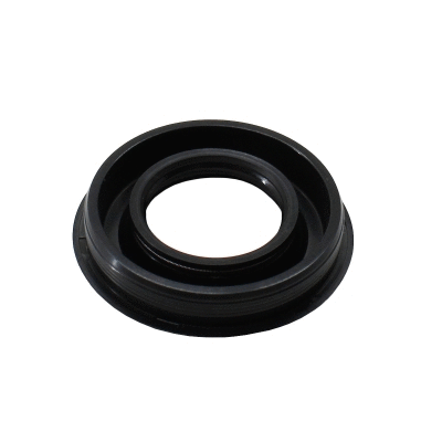 Seal, injector holder (98444)