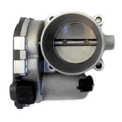 Throttle Body (89224)