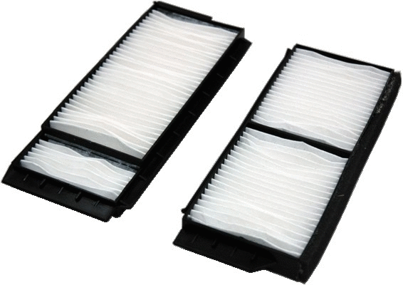 Filter, cabin air (17292F-X2)