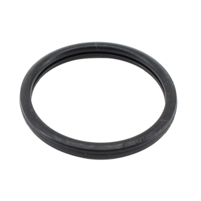 Seal, thermostat (016105)