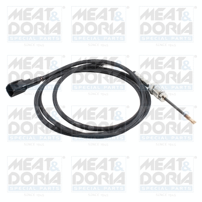 Sensor, exhaust gas temperature (12627)