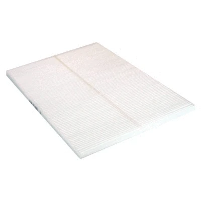 Filter, cabin air (17493)
