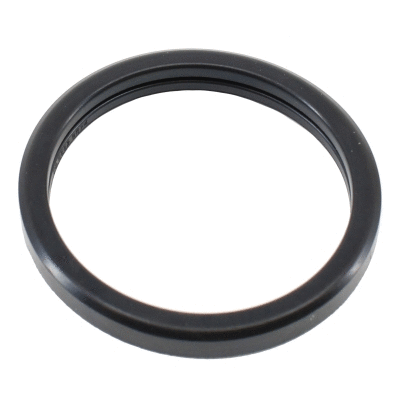 Seal, thermostat (01658)