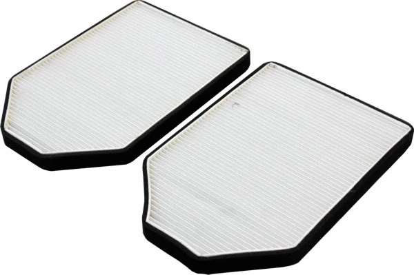 Filter, cabin air (17038-X2)