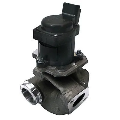 EGR Valve (88086)