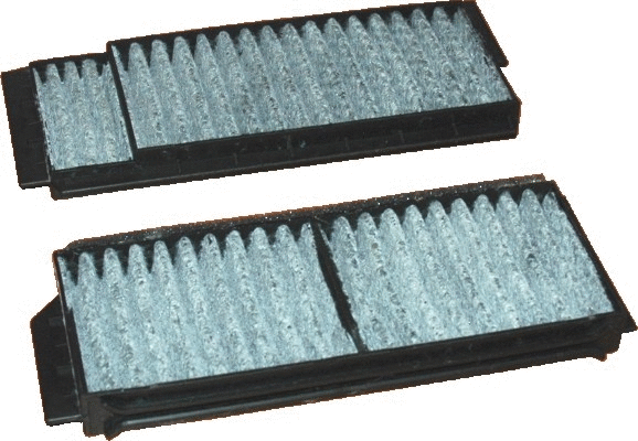 Filter, cabin air (17292FK-X2)