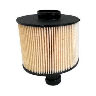 Fuel Filter (5008)