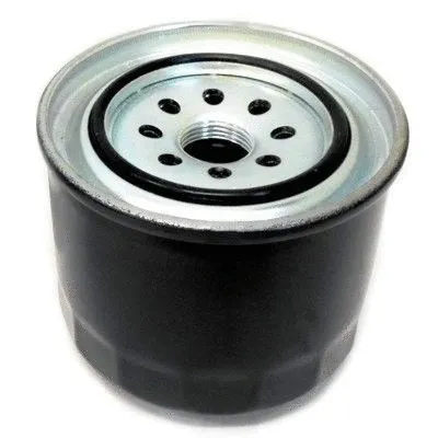 Fuel Filter (4283)