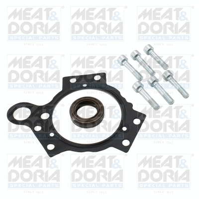 Repair Kit, common rail system (98382)