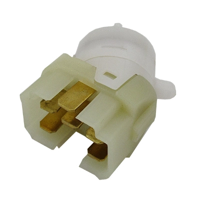 Ignition Switch (24005)