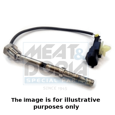 Sensor, exhaust gas temperature (12096E)