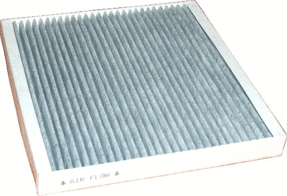 Filter, cabin air (17450K)