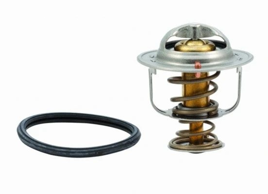 Thermostat, coolant (92334)