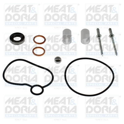 Repair Kit, fuel pump (98779)