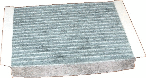 Filter, cabin air (17306K)