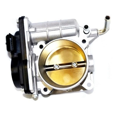 Throttle Body (89170)