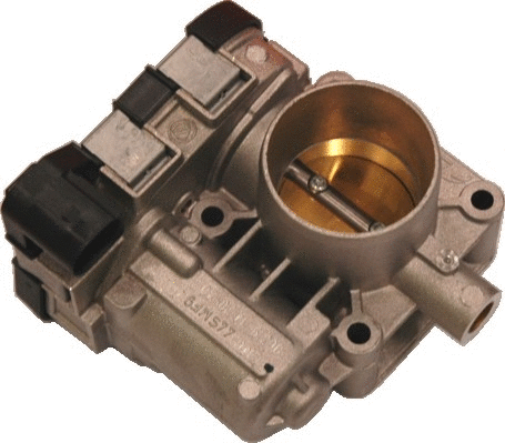 Throttle Body (89059)