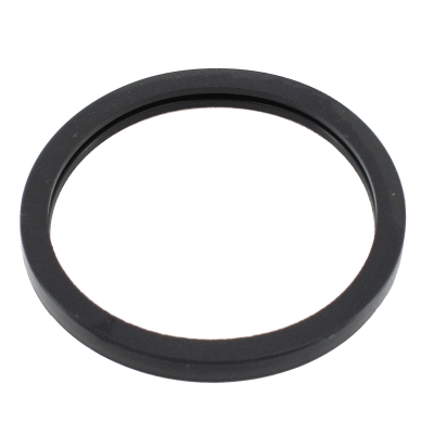 Seal, thermostat (01687)