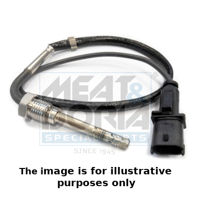 Sensor, exhaust gas temperature (12137E)