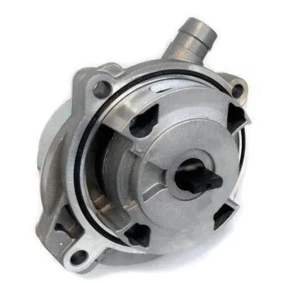 Vacuum Pump, braking system (91177)