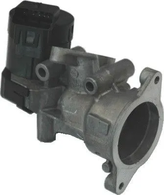 EGR Valve (88117R)