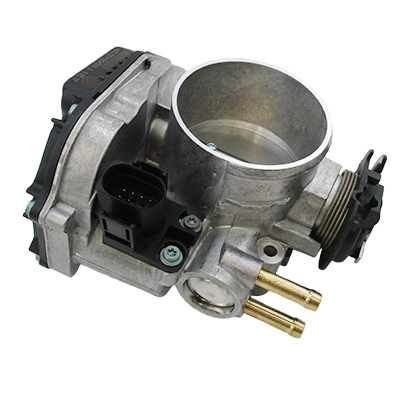 Throttle Body (89351)