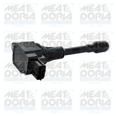 Ignition Coil (10795)