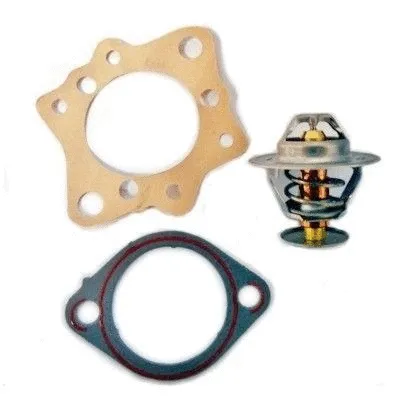 Thermostat, coolant (92437)