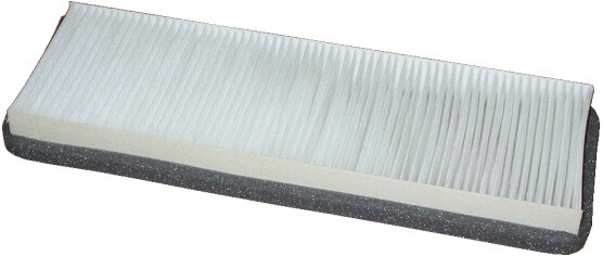 Filter, cabin air (17169)