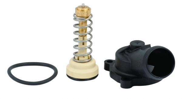 Thermostat, coolant (92647K)