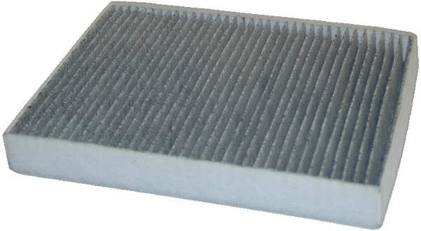 Filter, cabin air (17300K)