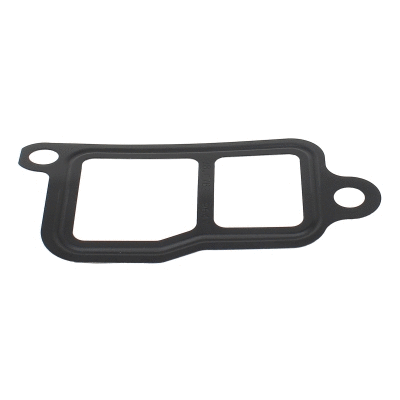 Seal, thermostat (016104)