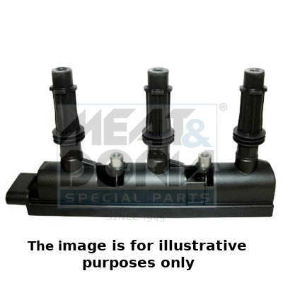 Ignition Coil (10756E)