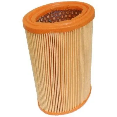 Air Filter (16158)