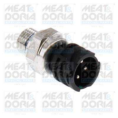 Oil Pressure Switch (72130)