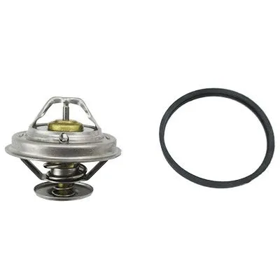 Thermostat, coolant (92336)