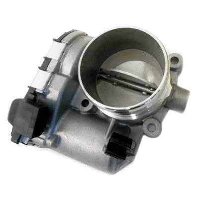 Throttle Body (89216)