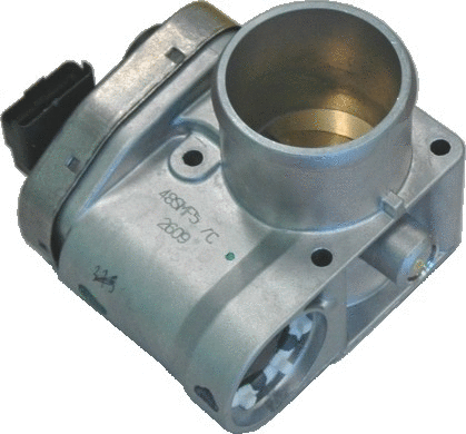 Throttle Body (89061)