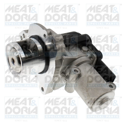 EGR Valve (88411E)