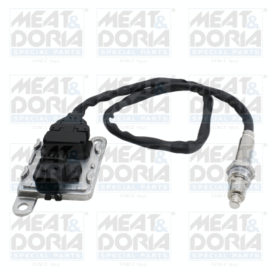 NOx Sensor, NOx catalytic converter (57244)