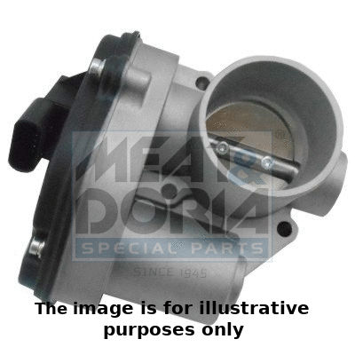 Throttle Body (89194R)