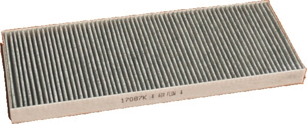Filter, cabin air (17087K)