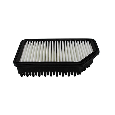 Air Filter (18614)