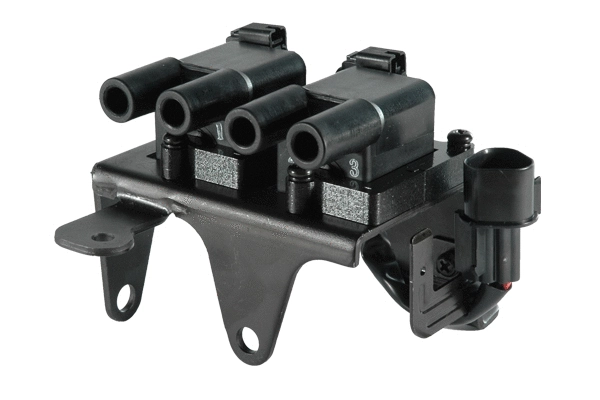 Ignition Coil (10368)