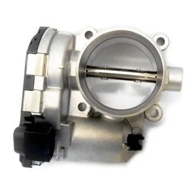 Throttle Body (89253)