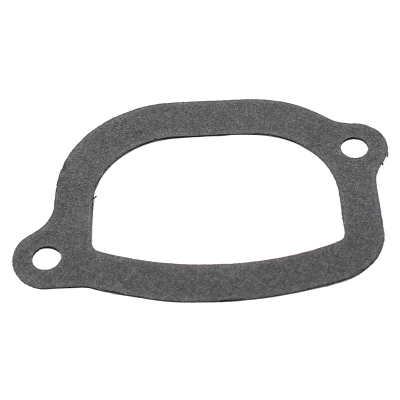 Seal, thermostat (01654)