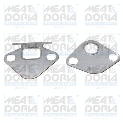 Gasket, EGR valve (016118)