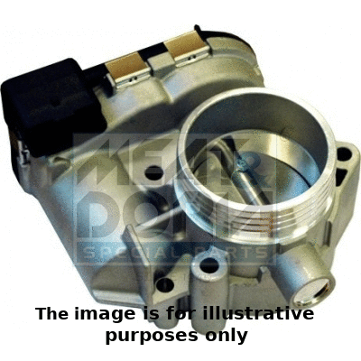 Throttle Body (89125R)