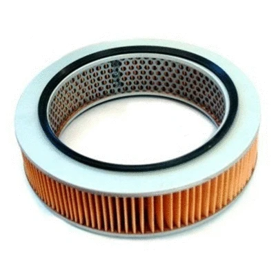 Air Filter (16255)